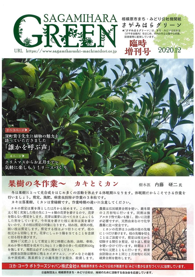 GREEN 臨時増刊号2020 12月.jpg