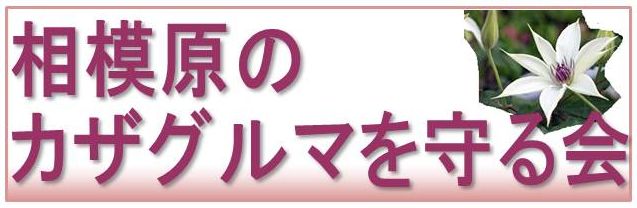 ⑬相模原のカザグルマを守る会.jpg